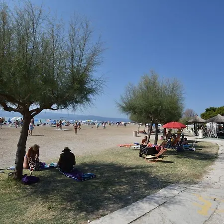 Sreta Omis