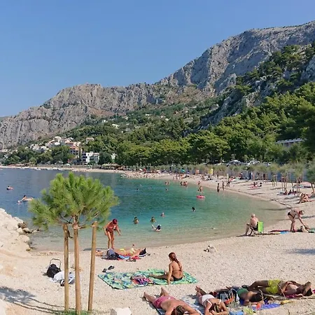 Sreta *